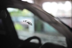 bullseye windshield chip