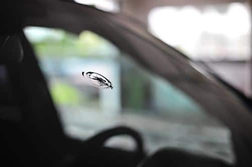 bullseye windshield chip