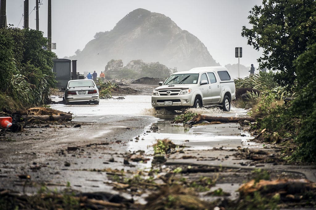 Wind Damage Area