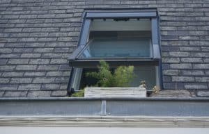 An open window with a box of greenery.