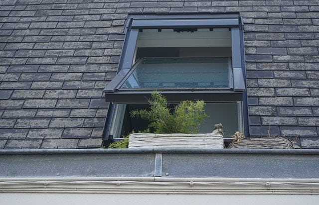 An open window with a box of greenery.