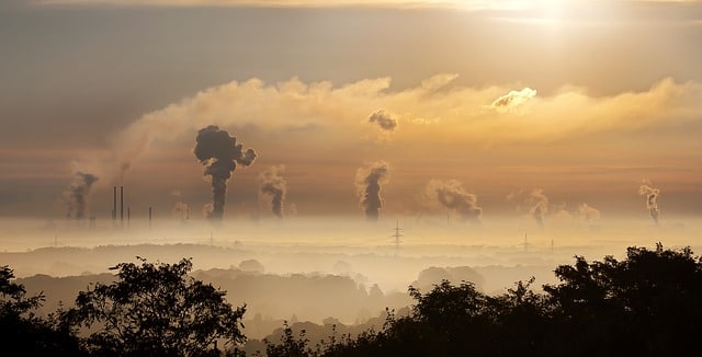 An overview of a tree covered area with smoke stacks in the background.