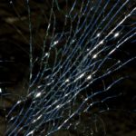 Shattered glass close-up.