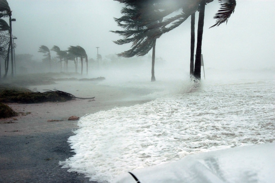hurricane wind and rain