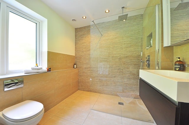 Frameless Shower Design