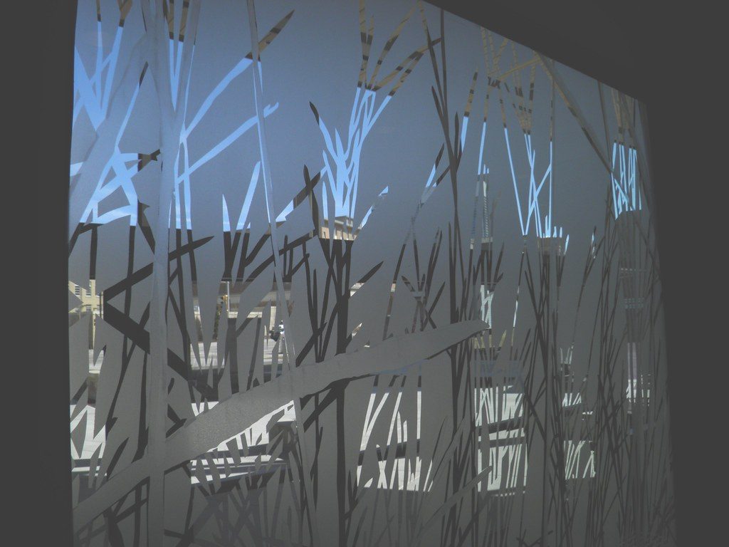 Nature etched shower glass Nature etched shower glass