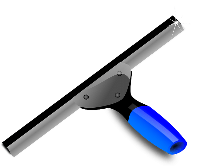 A cartoon image of a squeegee.