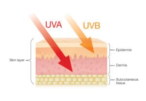 A diagram shows how UVA and UVB rays sink into the skins layers.