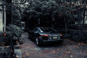 a black car-parked-under-trees