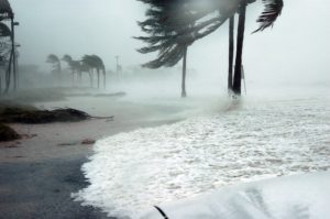 hurricane-preparedness