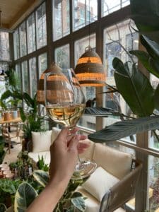 white wine glass being held up with plants in the background