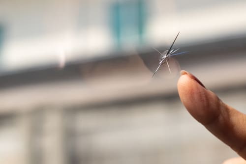 toyota-windshield-repair